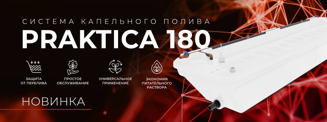 Практика 180